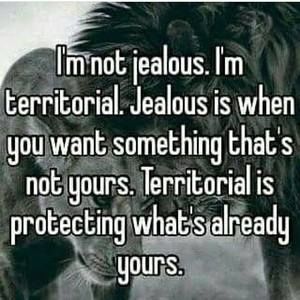 Meet your Posher, Landon